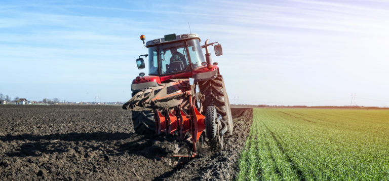 IICE: sector agropecuario es el único que no mantiene expectativas positivas