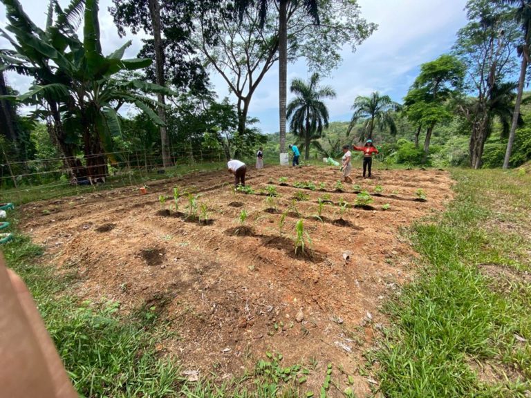 Movimiento denuncia olvido del Gobierno a programas de agricultura orgánica