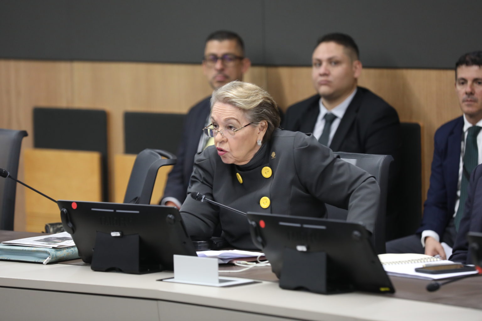 Imagen principal del artículo: Comisión de Seguridad avala proyecto para crear registro de personas sentenciadas por delitos sexuales