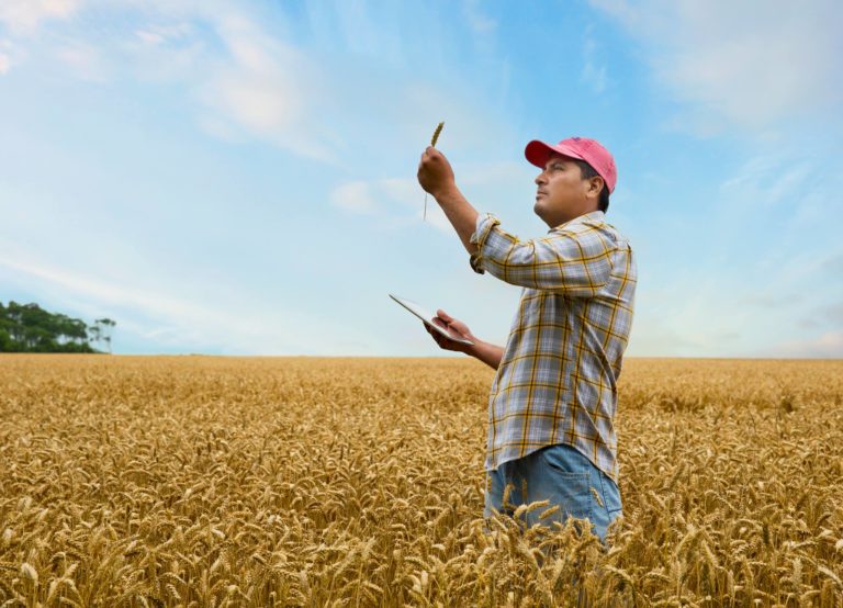 Seguridad Alimentaria y Resiliencia: un imperativo para el futuro de Centroamérica