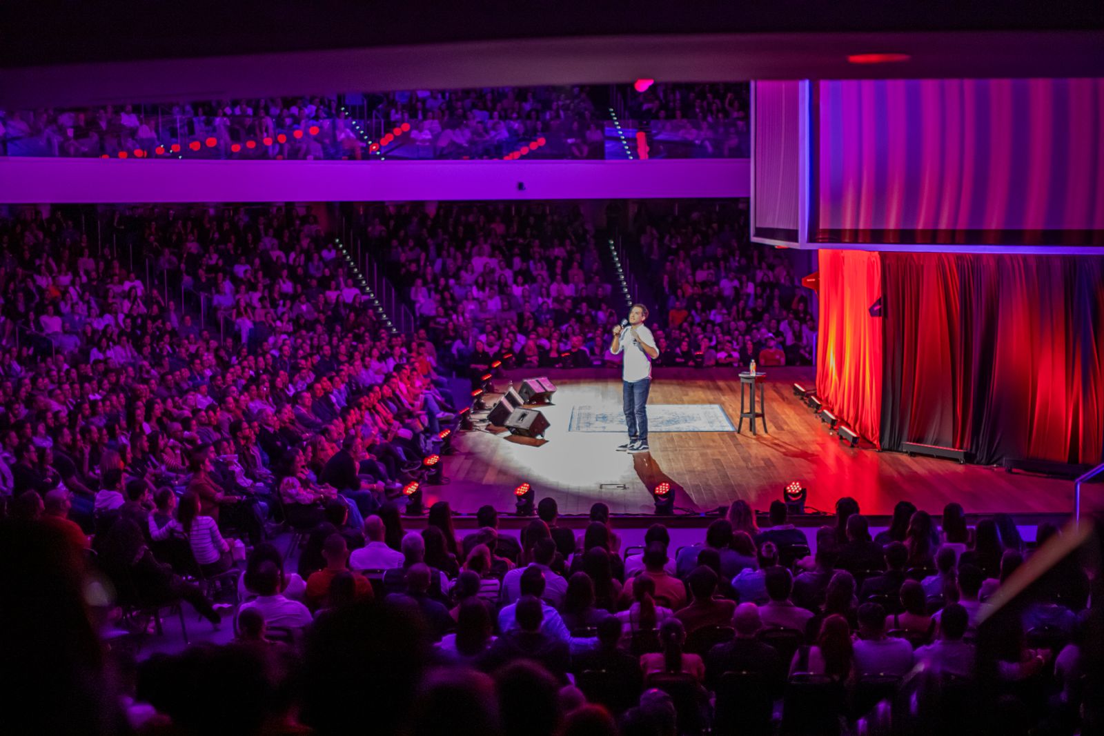 Imagen principal del artículo: Se confirma "Gato X Liebre" en cines
