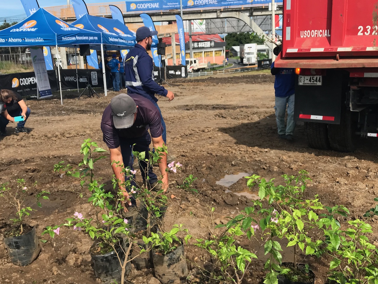 Imagen principal del artículo: ¡Primer bosque compasivo de Costa Rica y un rinconcito literario para niños en Cartago nos alegran la semana!