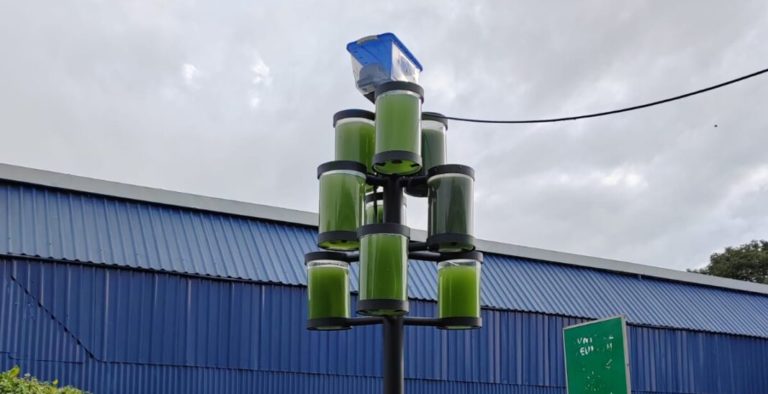 Proyecto “Árboles líquidos” impulsa la mitigación de la huella de carbono en Costa Rica