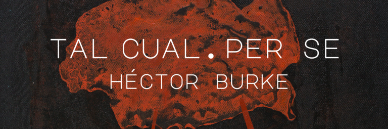Museo de Arte Costarricense presenta la exposición "Tal cual. Per se" del artista Héctor Burke