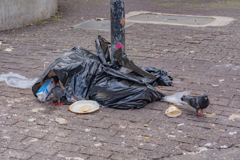 San José: crónica de un colapso urbano administrado