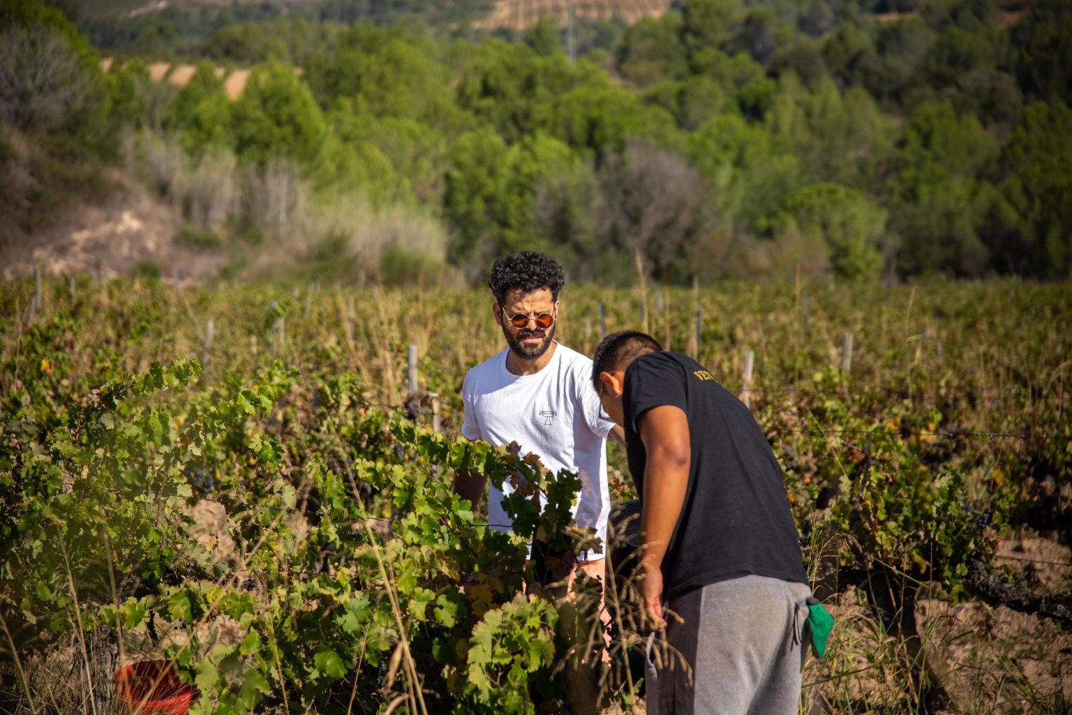 Imagen principal del artículo: Erick J. Sandoval Solano, enólogo costarricense, lanza su vino en Costa Rica y resalta la riqueza culinaria del país