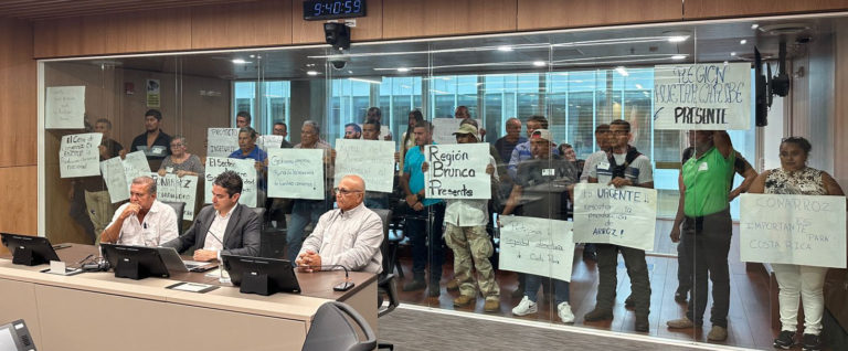 Productores de arroz advierten que pueden llegar a desaparecer si cierran Conarroz