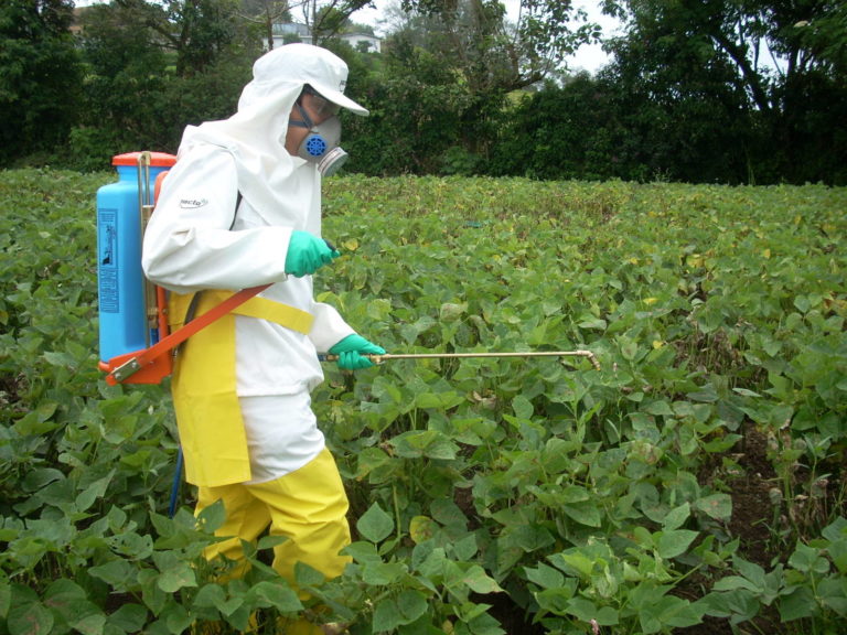 COP 16: Costa Rica incumple objetivo nacional de reducir el uso de plaguicidas