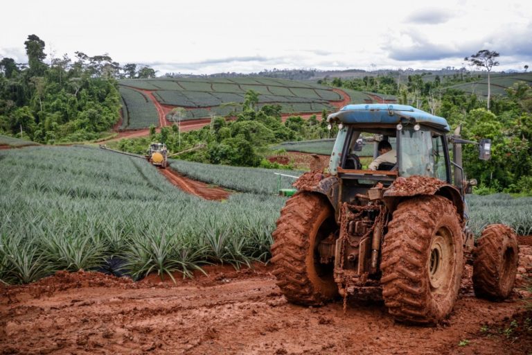 Piñeros sobre Acuerdo Transpacífico: "representa una amenaza, no una solución”
