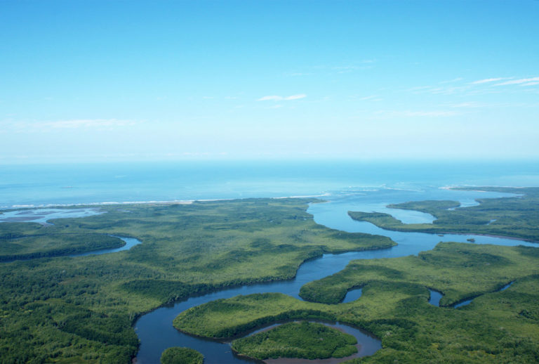 Una década de humedales en Costa Rica