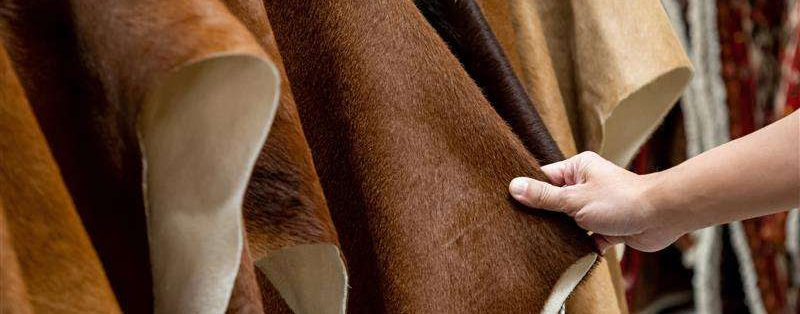 Imagen principal del artículo: Bona Sort, empresa esencial COSTA RICA, innova al transformar y exportar subproductos de la industria cárnica en cuero salado