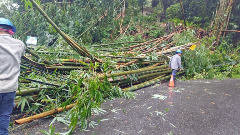 ICE reporta que ha restablecido más del 97% de servicios eléctricos afectados por condiciones climáticas