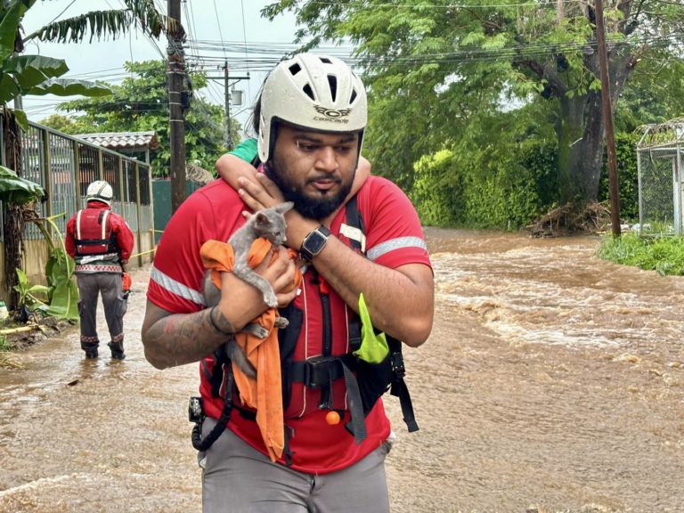 Un llamado a donar y a solidarizarnos con las personas afectadas por las lluvias