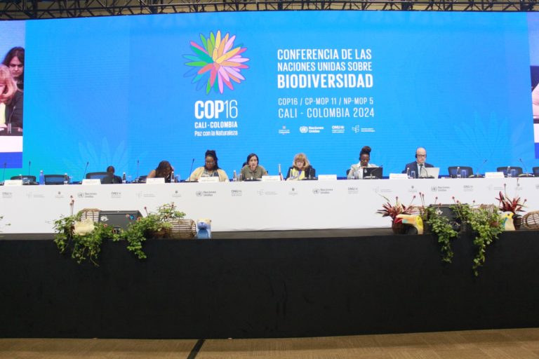 Costa Rica forma parte por primera vez del comité de cumplimiento del Protocolo de Nagoya