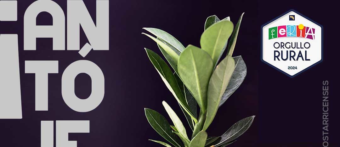 Imagen principal del artículo: Más de 60 emprendedores exhibirán sus productos en la Feria del Orgullo Rural 2024