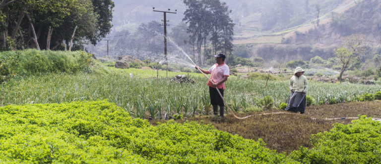 Cuatro empresarias ticas del programa "MiPymes Verdes" concursarán para desarrollar proyectos de sostenibilidad