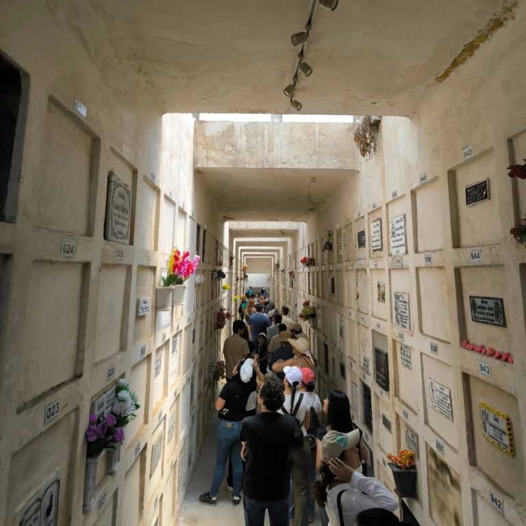 Chepecletas invita a caminata por el Cementerio General y Mercado de las Pulgas