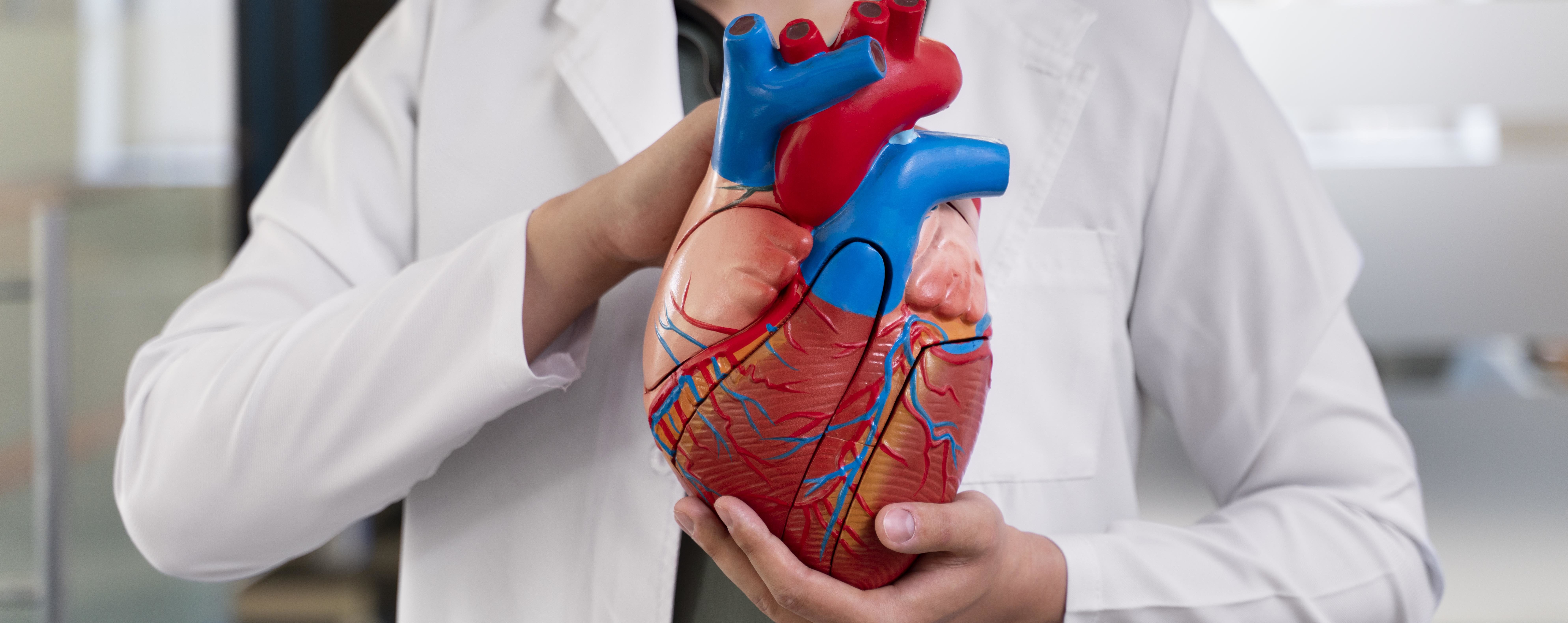 Imagen principal del artículo: Calcio en las arterias coronarias y el riesgo de un accidente cerebrovascular