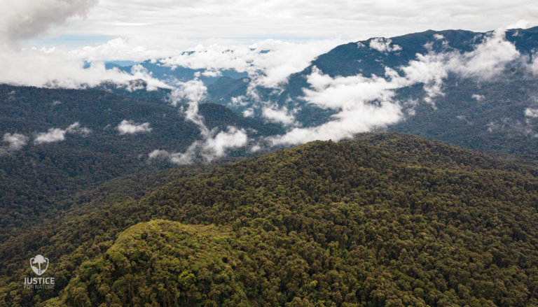 Minae lanza un plan de adaptación para mitigar los efectos del cambio climático en áreas protegidas