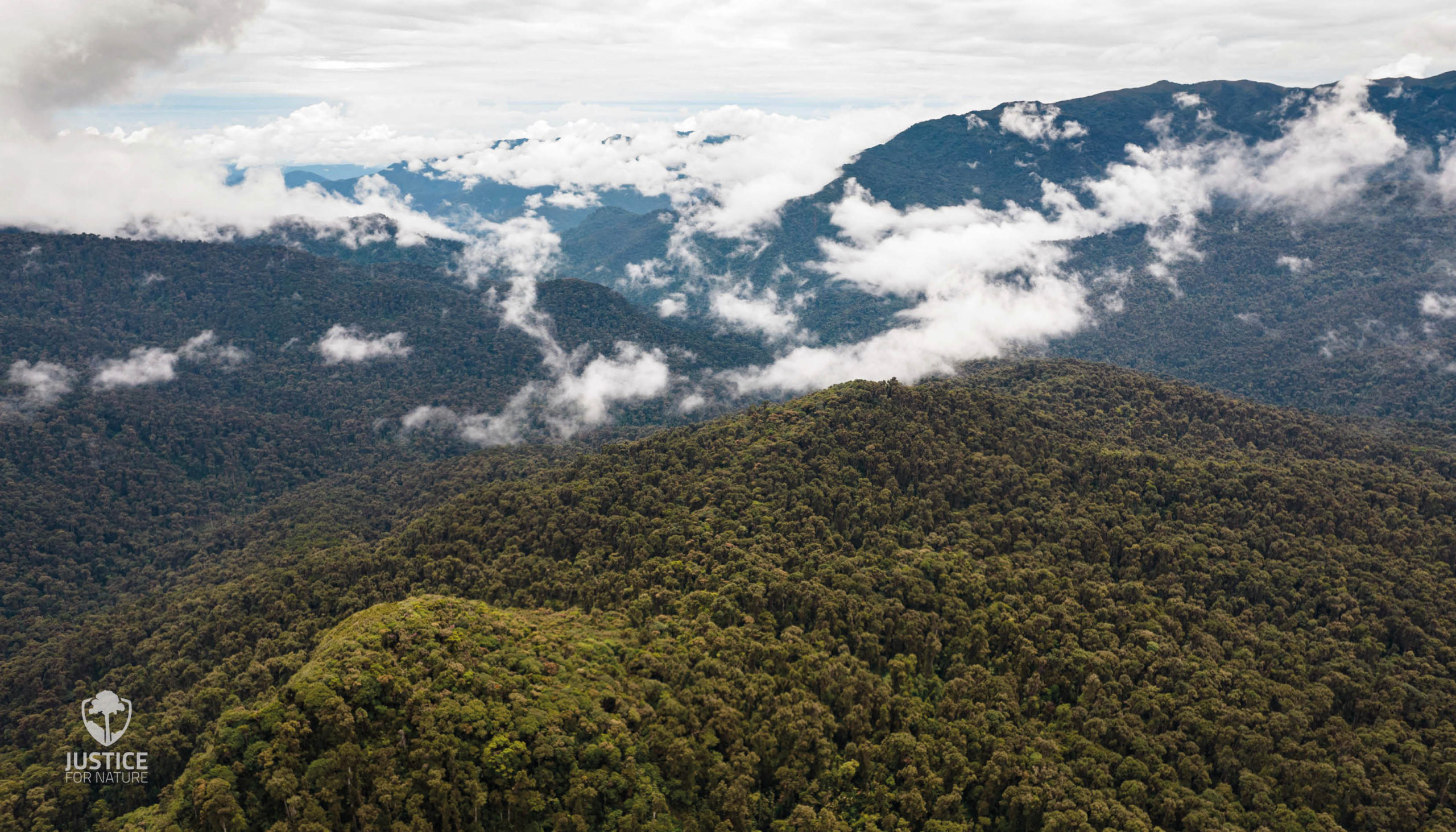 Imagen principal del artículo: Minae lanza un plan de adaptación para mitigar los efectos del cambio climático en áreas protegidas