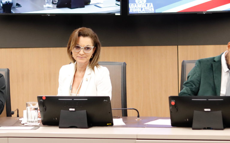 Diputada independiente propone eliminar revisión anual de tarifas eléctricas