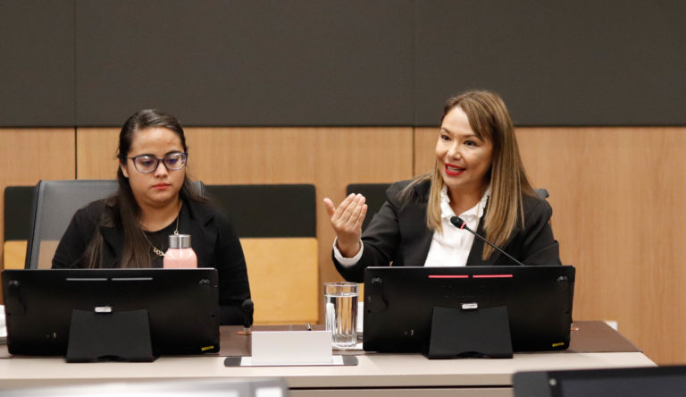 Diputada oficialista propone ley contra la obesidad