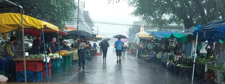 Ferias del agricultor operarán con normalidad este fin de semana