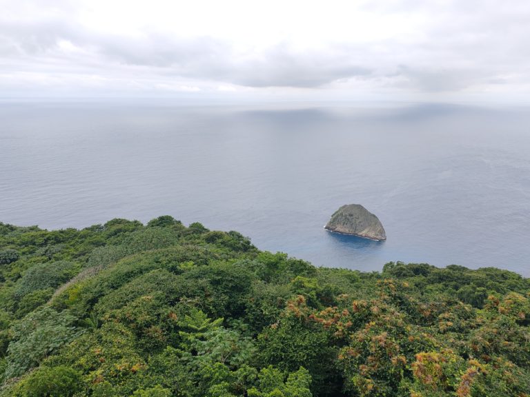 Minae reporta disminución del 98,9% de actividad pesquera ilegal en la Isla del Coco