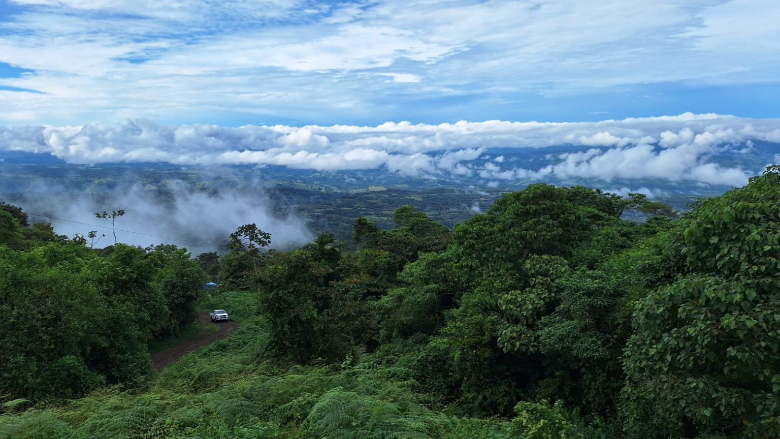 Imagen principal del artículo: Costa Rica protegerá el 30% de su territorio terrestre para 2025: ¿Cómo lo hará?