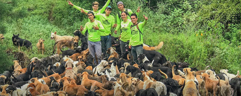 Hyundai Grupo Q tendrá feria de adopción virtual y aceptará donaciones de alimento en su Zaguatón Navideño 2024