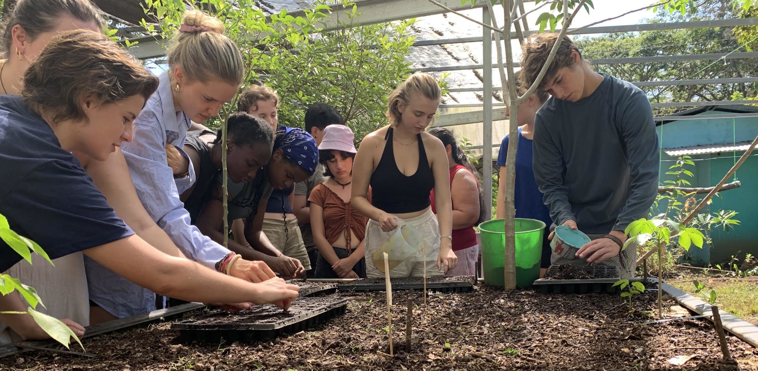 Imagen principal del artículo: 295 estudiantes participan en proyectos sociales y ambientales en todo el país