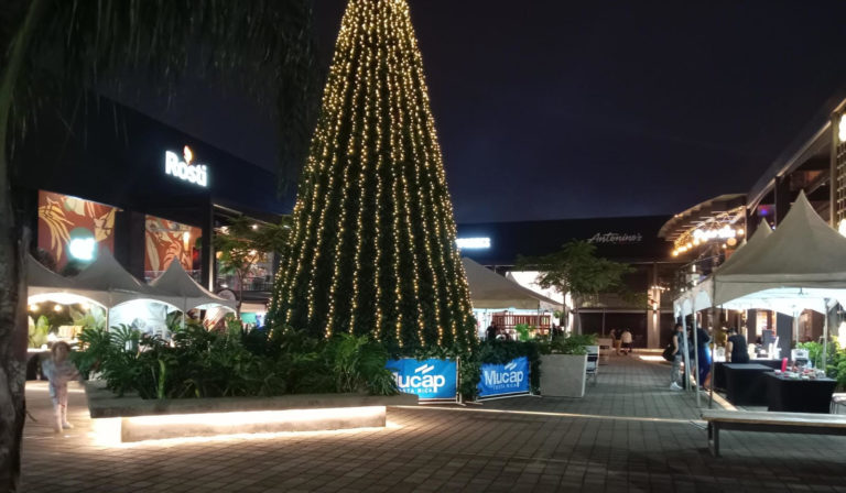 ExpoChill cierra el año con ferias en tres ubicaciones y actividades para toda la familia
