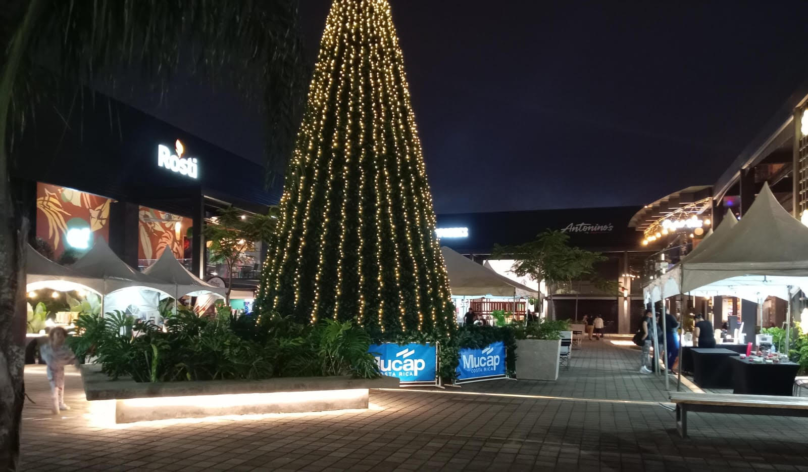 Imagen principal del artículo: ExpoChill cierra el año con ferias en tres ubicaciones y actividades para toda la familia