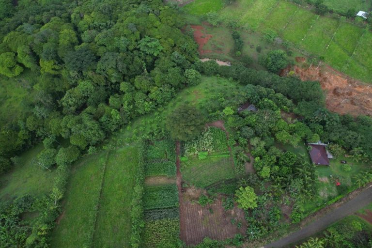 Organizaciones impulsan prácticas de conectividad biológica y adaptación climática en Río Magdalena