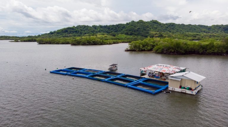 INCOP anuncia apertura de ofertas para la construcción de embarcaderos en Isla Venado