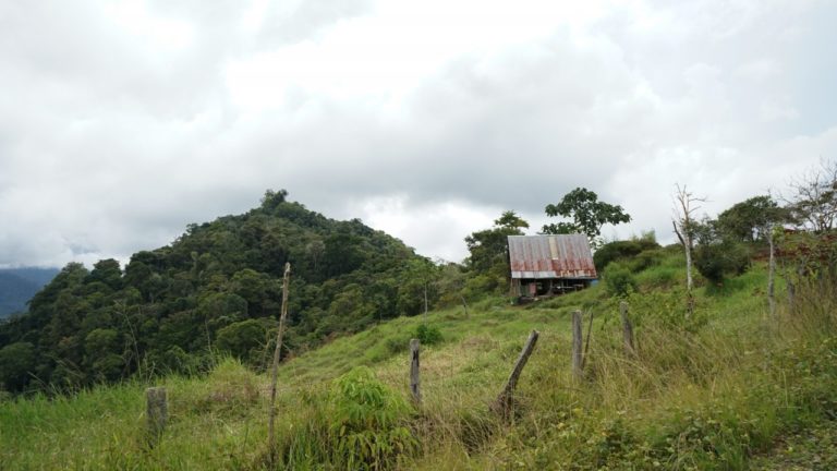 Territorio indígena de Alto Chirripó recibirá $6 millones de dólares por reducción de emisiones forestales