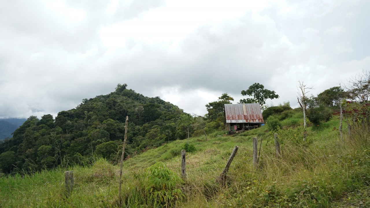 Imagen principal del artículo: Territorio indígena de Alto Chirripó recibirá $6 millones de dólares por reducción de emisiones forestales