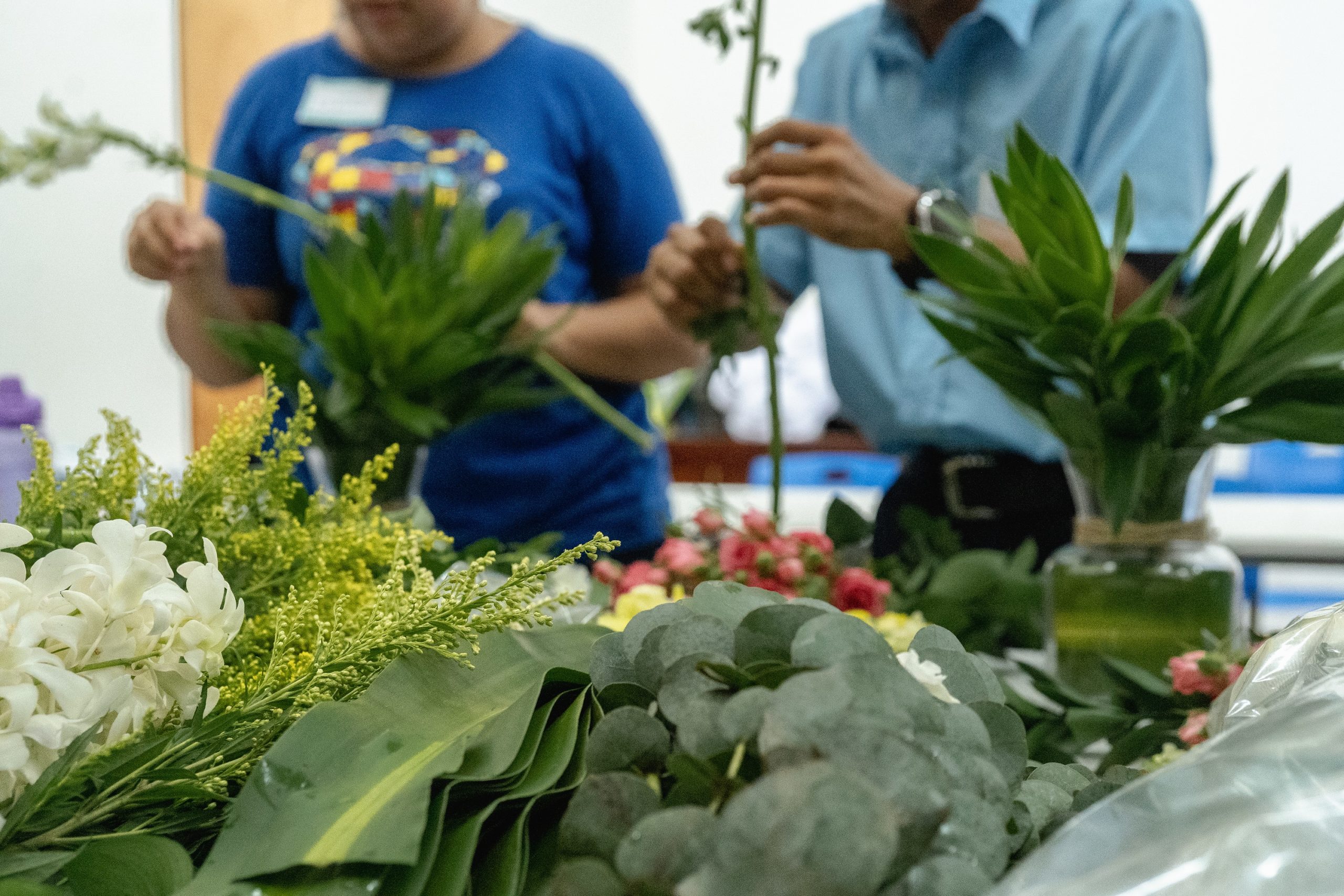 Imagen principal del artículo: Centro de Enseñanza Especial de Liberia y Península Papagayo lideran esfuerzos de inclusión laboral en Guanacaste