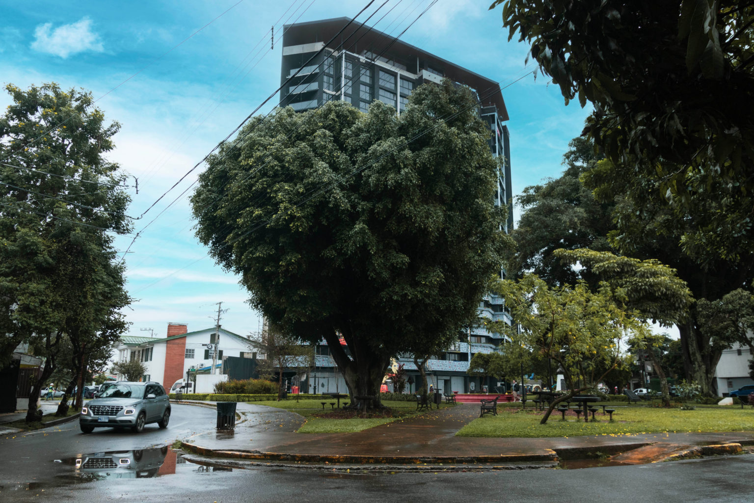 Imagen principal del artículo: Municipalidad de San José incumple fallo de la Sala Constitucional sobre entrega de información del plan de repoblamiento