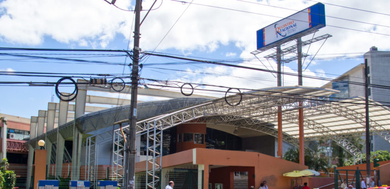 Registro Nacional anuncia horarios y servicios disponibles para Semana Santa