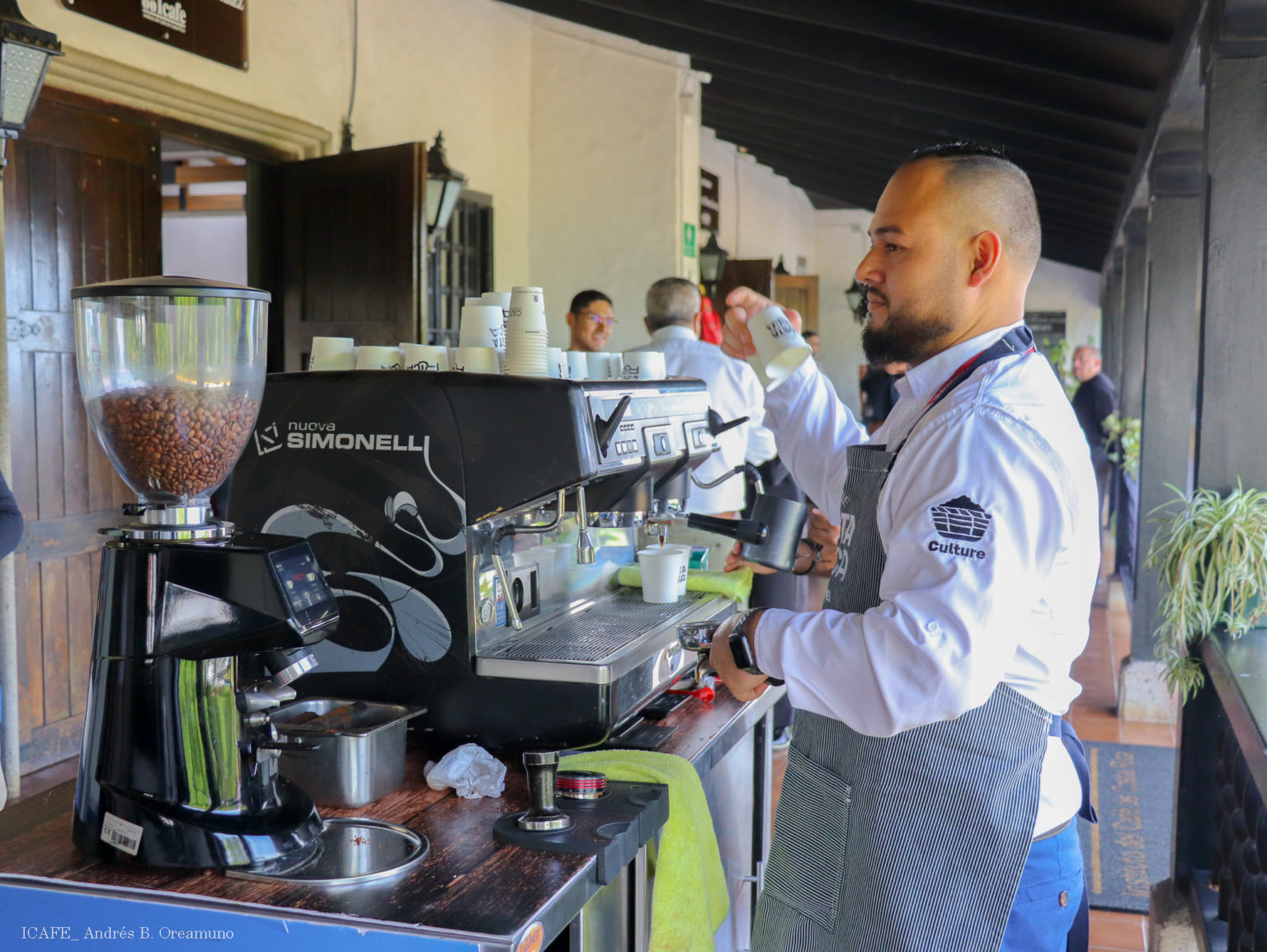 Imagen principal del artículo: Café+ Cero Deforestación: una nueva era para el café costarricense