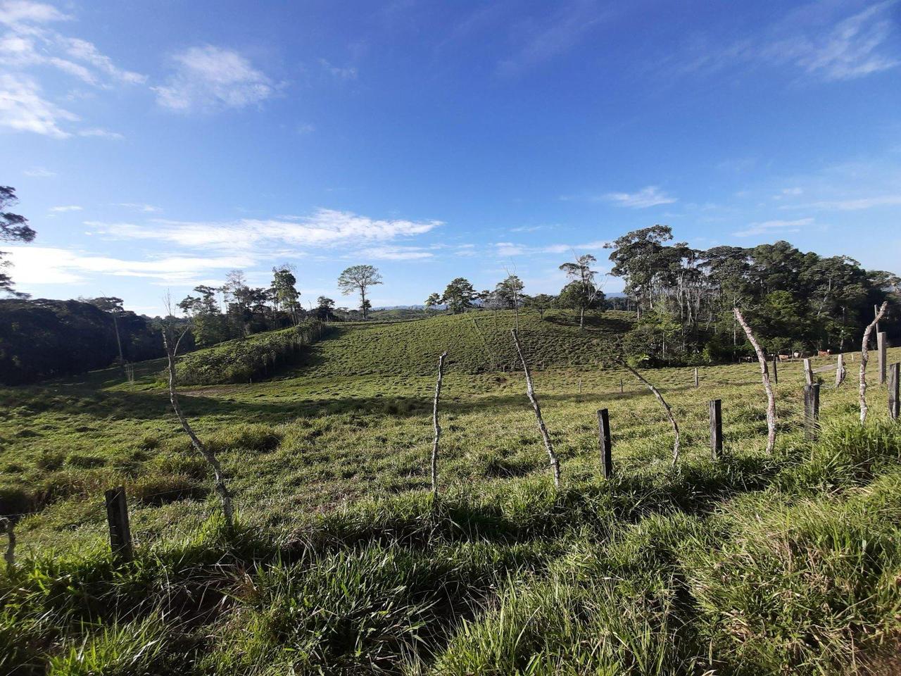 Imagen principal del artículo: INS pone a la venta 18 propiedades en Puntarenas y Alajuela