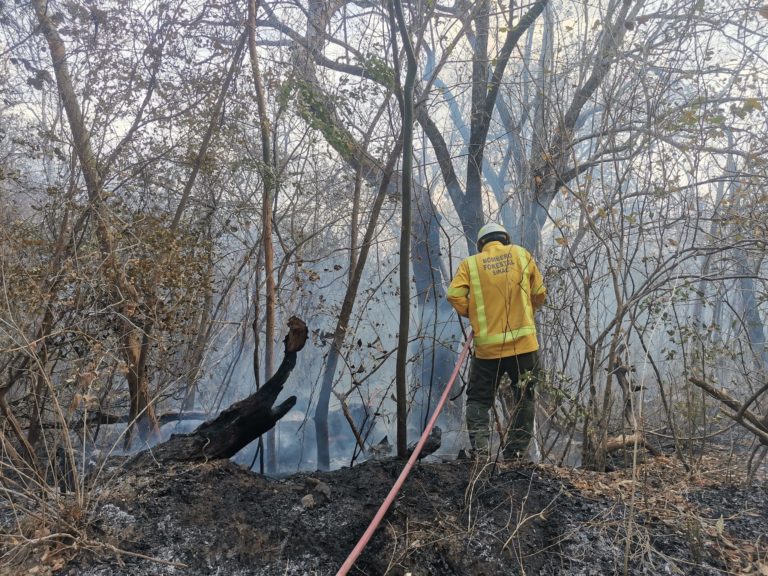 UNED capacita brigadas y educa a menores para combatir incendios forestales en la Región Chorotega