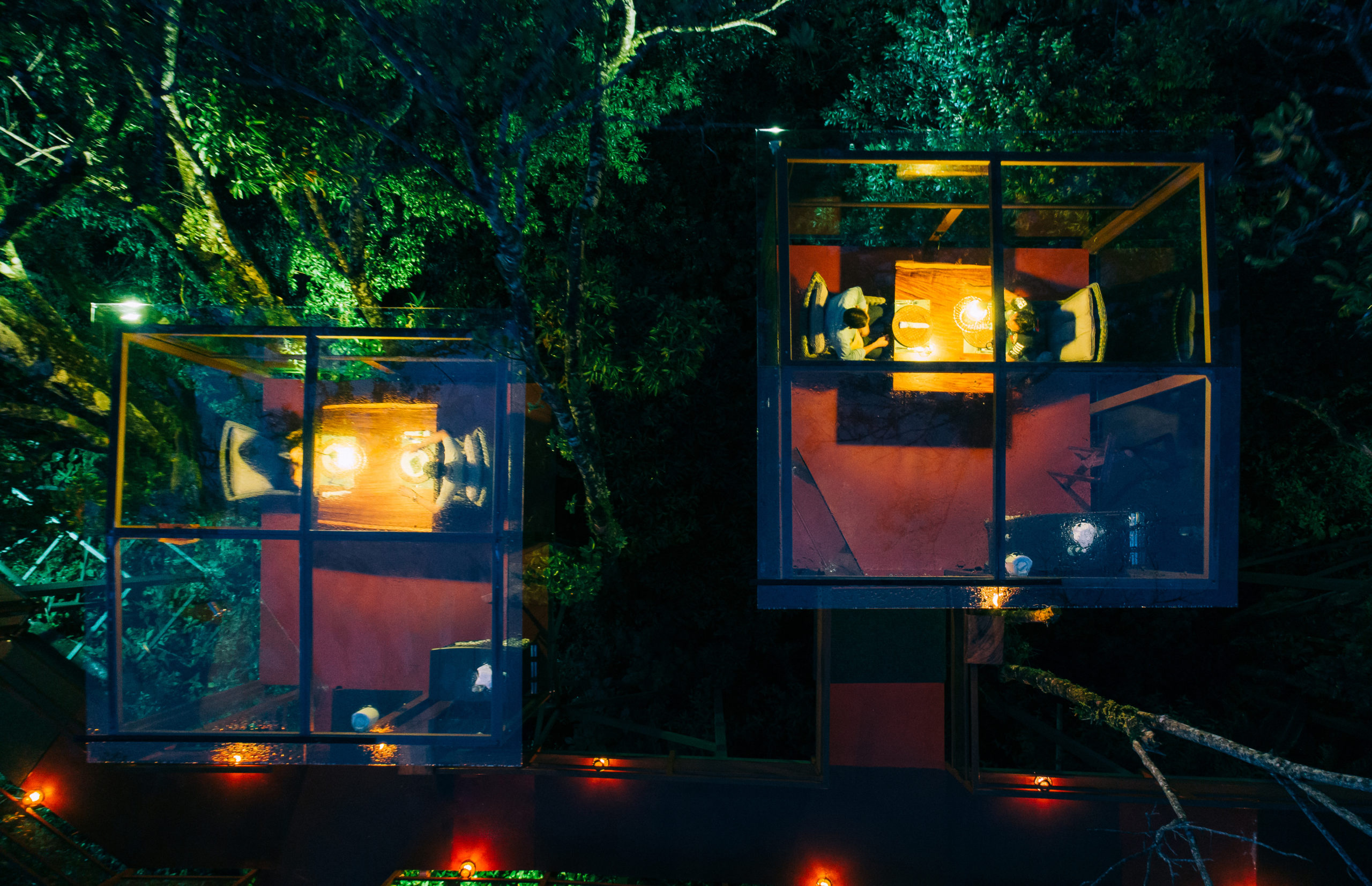 Imagen principal del artículo: San Lucas Treetop Dining Experience en Monteverde entre los mejores 20 restaurantes a nivel mundial en cenas románticas