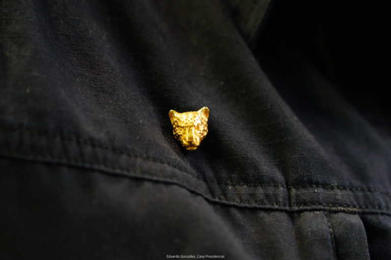 TSE prohíbe a autoridades del Ejecutivo usar símbolo del jaguar por su vínculo con partido MOTIVA