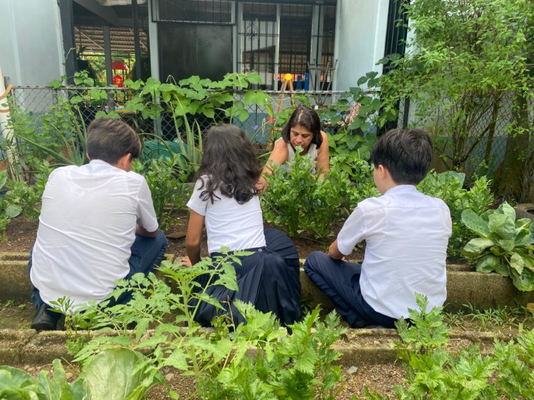 Programa ambiental “Yo Pienso Verde” abrió su convocatoria para centros educativos