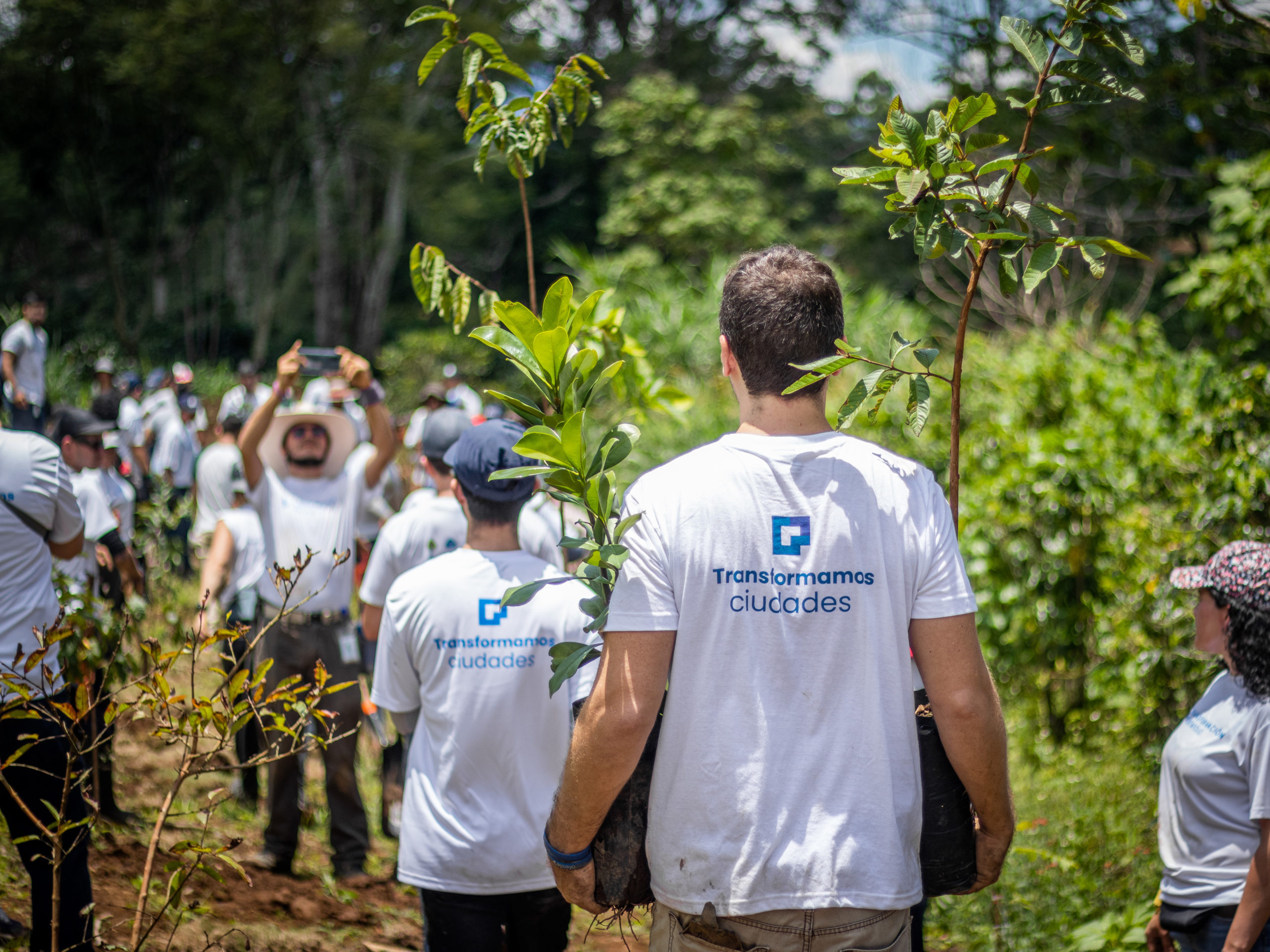 Imagen principal del artículo: Portafolio Inmobiliario refuerza su compromiso con la acción climática en su Estrategia 2025-2030