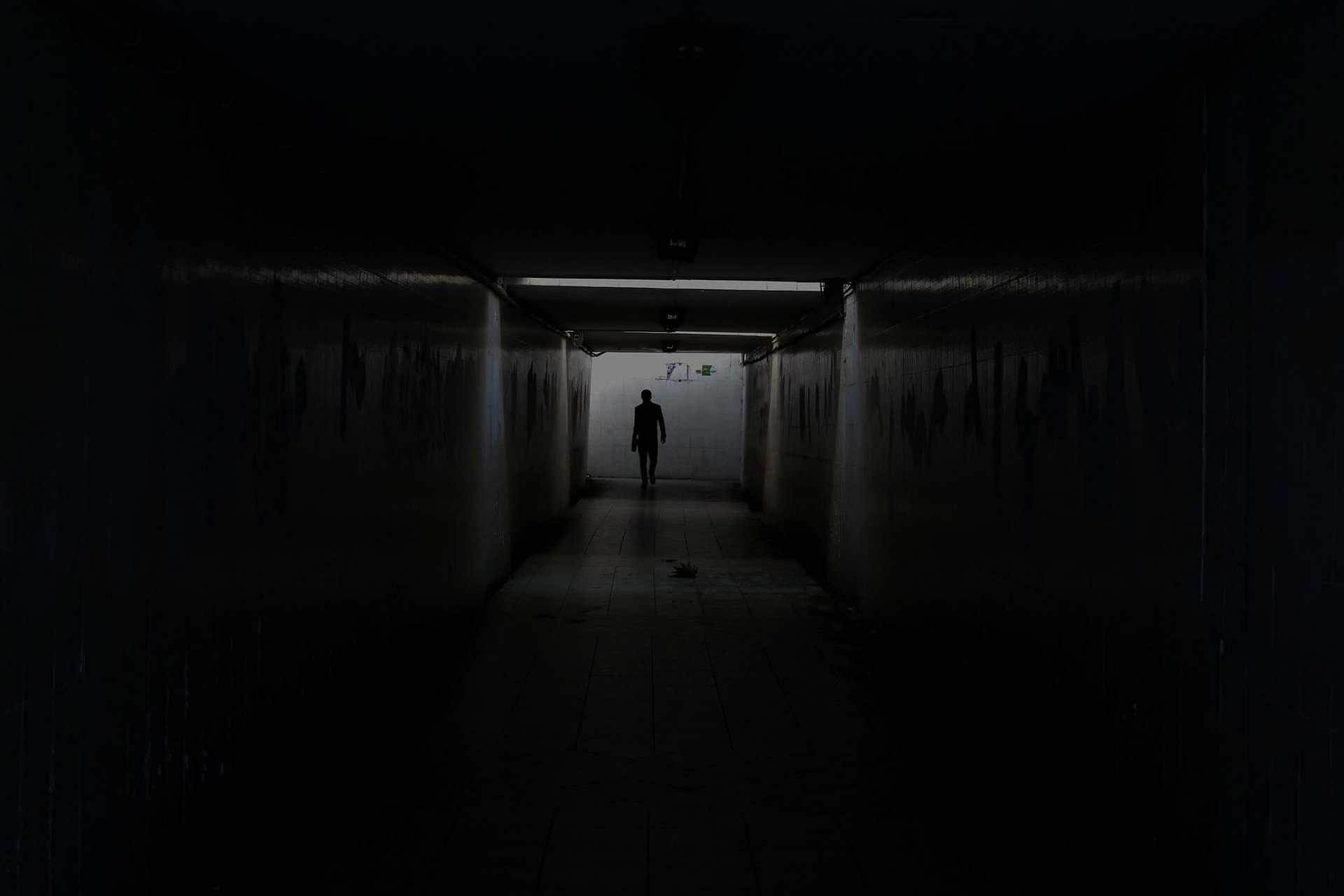 Imagen principal del artículo: La sombra del Leviatán en Centroamérica: sacrificios y consecuencias