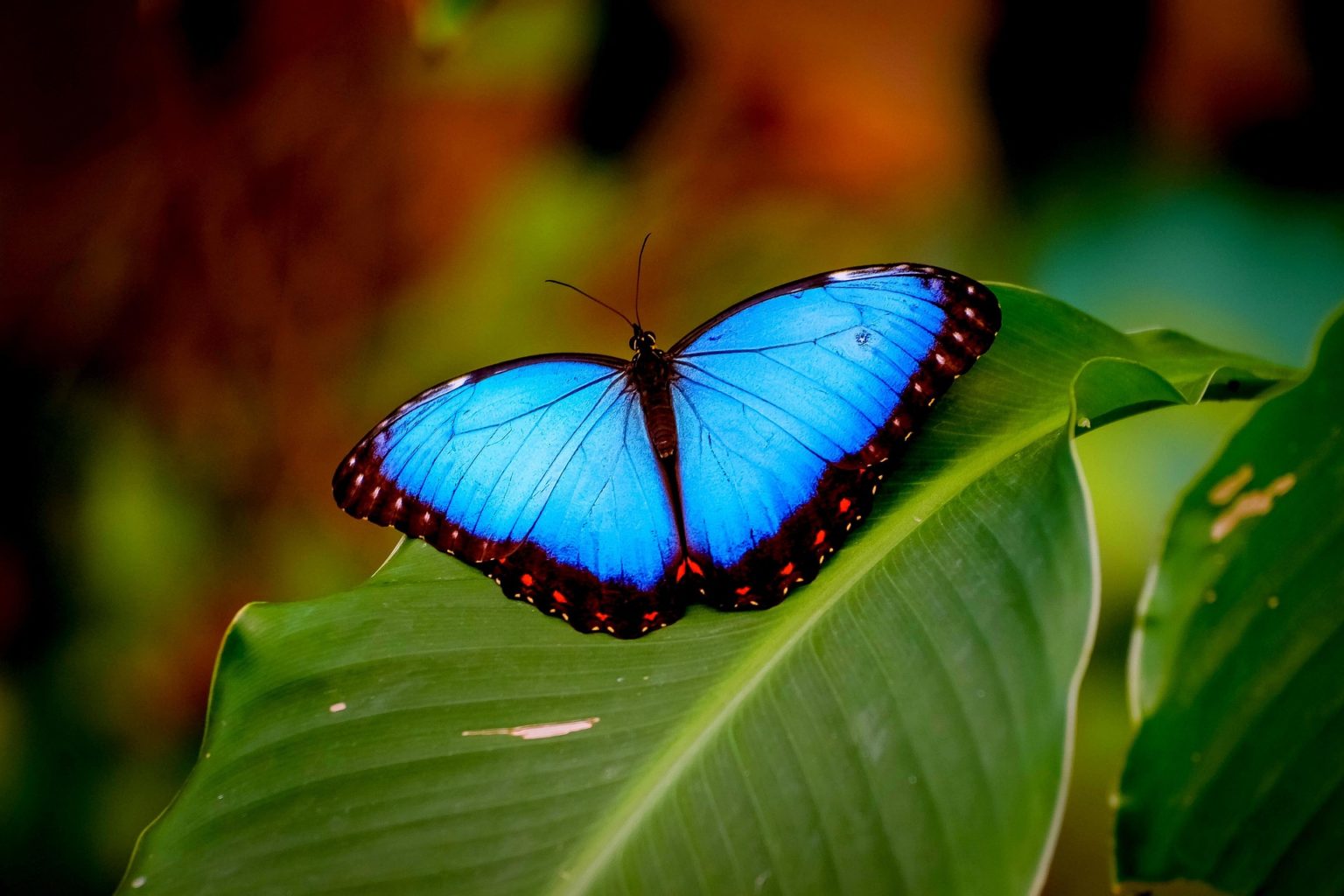 Imagen principal del artículo: Naturaleza en movimiento