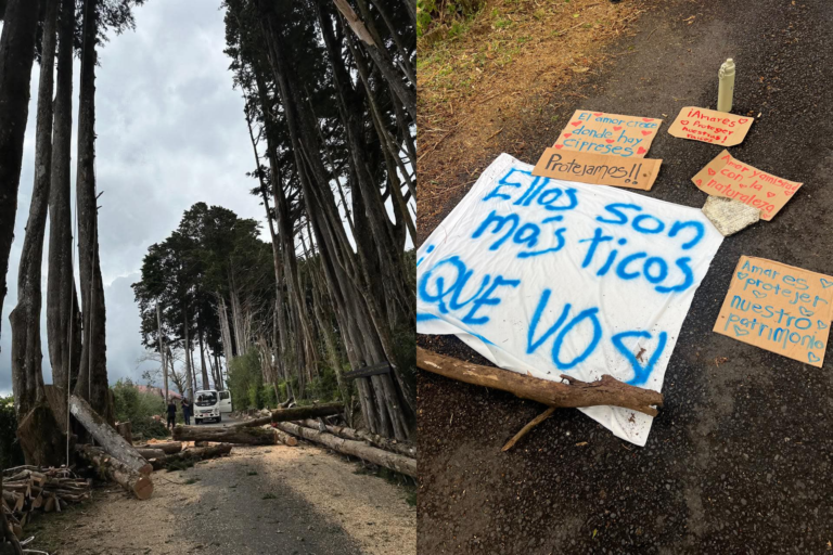 Tala de árboles en San Rafael de Heredia queda suspendida tras movilización de vecinos